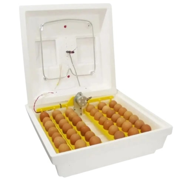 ІБМ-30Е - 10369 - Інкубатор з автоматичним переворотом на 42 яйця